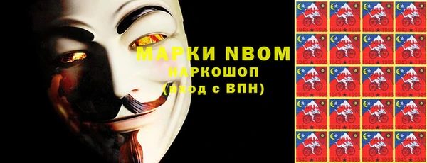 прущие грибы Аркадак