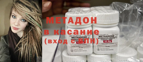 прущие грибы Аркадак