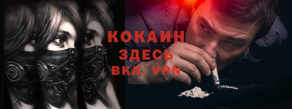прущие грибы Аркадак