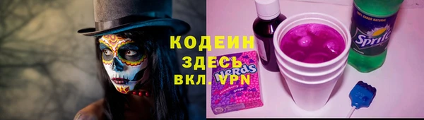 прущие грибы Аркадак