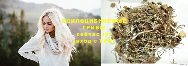 прущие крисы Армянск